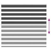 VidaXL Zebra rolgordijn 165x150 cm stofbreedte 160,9 cm zwart - thumbnail