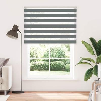 VidaXL Zebra rolgordijn 165x200 cm stofbreedte 160,9 cm donkergrijs VidaXL Zebra rolgordijn 165x200 cm stofbreedte 160,9 cm donkergrijs
