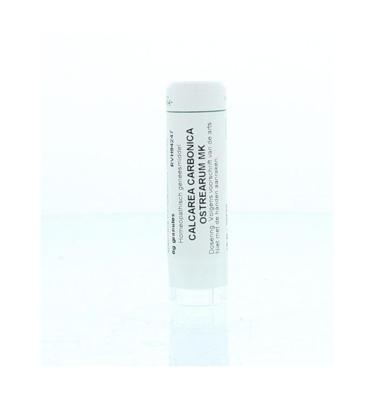 Homeoden Heel Calcarea carbonica ostrearum MK 6 Gram Homeoden Heel Calcarea carbonica ostrearum MK 6 Gram