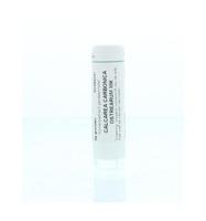 Homeoden Heel Calcarea carbonica ostrearum MK 6 Gram - thumbnail