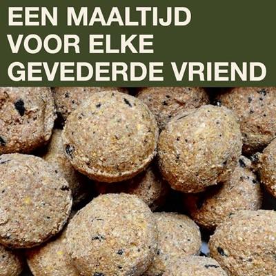 Swissinno Lucerne Dunkelgrün für Maisenknödel Voedersilo 700 g Vogel Donkergroen 1 stuk(s) 1 801 001 Swissinno Lucerne Dunkelgrün für Maisenknödel Voedersilo 700 g Vogel Donkergroen 1 stuk(s) 1 801 001