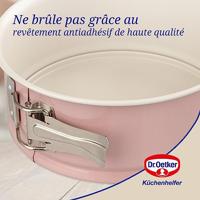 Springvorm Pan Dr. Oetker - thumbnail