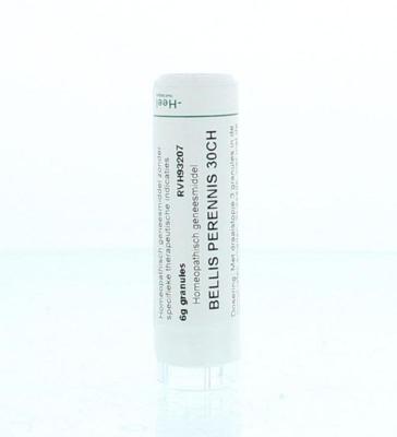 Homeoden Heel Bellis perennis 30CH 6 Gram