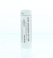 Homeoden Heel Bellis perennis 30CH 6 Gram - thumbnail