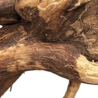 Spider wood 10-15 cm BioArt Aquadistri - Aquadistri - thumbnail