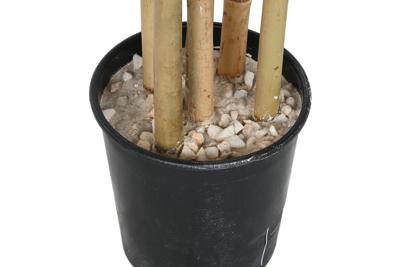 Boomstructuur Home ESPRIT Polyester Bamboe 80 x 80 x 180 cm