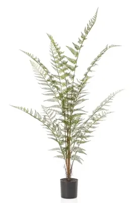 Forest fern x13 120 cm Emerald - Emerald Forest fern x13 120 cm Emerald - Emerald