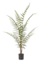 Forest fern x13 120 cm Emerald - Emerald - thumbnail