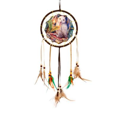 Lisa Parker Wachter van Spreuken Uil Dromenvanger 16cm