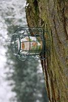 Selectieve pindakaashouder - Best for birds - thumbnail