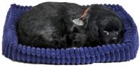 Perfect Pet Zzz soft black labrador (96323) - thumbnail