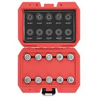 VidaXL 10-delige wielborgmoersleutelset voor bmw - thumbnail