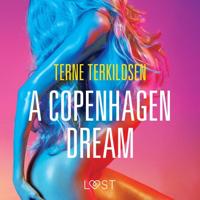 A Copenhagen Dream - erotic short story - thumbnail