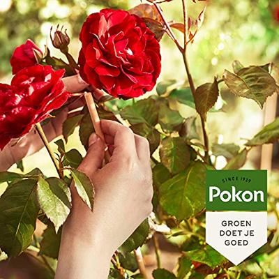 Pokon Pokon Rozen Mest 1kg - thumbnail
