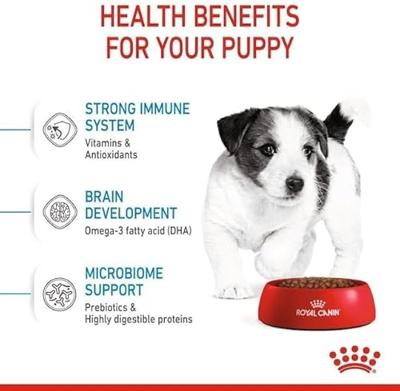 Royal Canin Puppy Mini, 800 gr