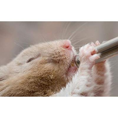 Pawise Drink Bottles S 100 ml