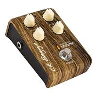 LR Baggs Align Series Session - thumbnail