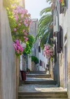 Alexsar Art Tuinschilderij dorp trede 70x50cm - thumbnail