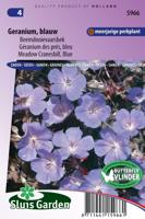 Geranium Pratense zaden Beemdooievaarsbek blauw - thumbnail