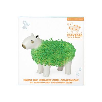 Capibara bloempot met zaadjes