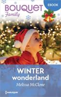 Winterwonderland - Melissa McClone - ebook - thumbnail