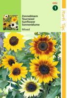 Zaden Helianthus Zonnebloem gemengd Hortitops - Hortitops - thumbnail