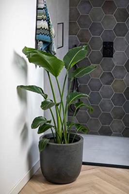 Bolbloempot - CAPI EUROPE - WASTE SMOOTH NL - 35 x 34 cm - Terrazzo beige