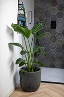 Capi waste bol smooth nl kunststof bloempot 35x34 cm terrazzo beige - thumbnail