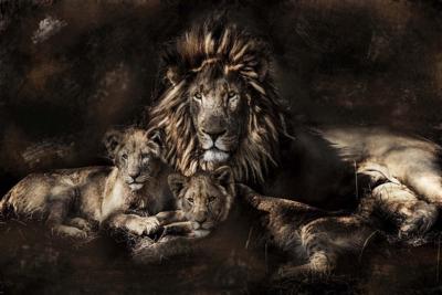 Foto Glas Art -Leeuw met zijn welpen, 80x120cm, prachtig voor in de woon en of slaapkamer, inclusief ophang materiaal