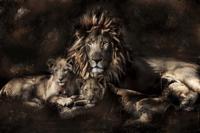 Foto Glas Art -Leeuw met zijn welpen, 80x120cm, prachtig voor in de woon en of slaapkamer, inclusief ophang materiaal - thumbnail