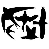 Esschert Design Raamstickers vogels - thumbnail