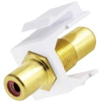 BKL Electronic 2900014 Koppelstuk - thumbnail