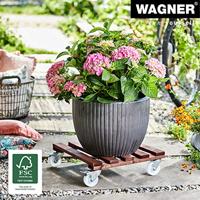 Wagner 20087001 Transportroller Hout Laadvermogen (max.): 250 kg 450 mm x 450 mm x 130 mm - thumbnail