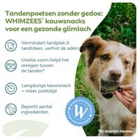 Whimzees Krokodil Large 6st - thumbnail