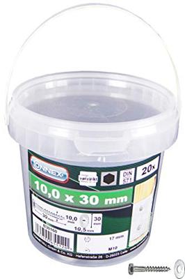Connex Houtdraadbout+Sr 10X30 Emmer 20St - B30160