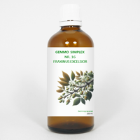 Balancepharma Gemmo simplex 16 fraxinus excelsior 100 Milliliter - thumbnail