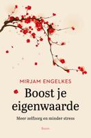 Boost je eigenwaarde - Mirjam Engelkes-broeks - ebook - thumbnail