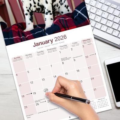 Dalmatier Kalender 2026