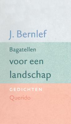 Bagatellen voor een landschap - J. Bernlef - ebook Bagatellen voor een landschap - J. Bernlef - ebook