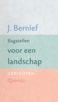 Bagatellen voor een landschap - J. Bernlef - ebook - thumbnail
