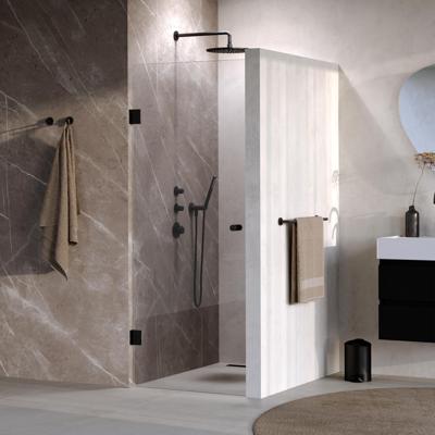 BRAUER Void Carving nisdeur helder glas 80x200 omkeerbaar incl. glascoating mat zwart