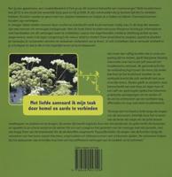 Kruidenwijsheid (Paperback) - thumbnail