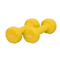 Vinyl Dumbbells - Focus Fitness - 2 x 1,5 kg - thumbnail