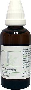 VSM Echinacea pallida D1 50 Milliliter