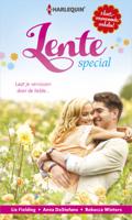 Lentespecial (3-in-1) - Liz Fielding, Anna DeStefano, Rebecca Winters - ebook - thumbnail