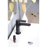 Wastafelmengkraan Sapho Spy 1-hendel Recht 16.7 cm Mat Zwart Sapho - thumbnail