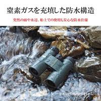 Kowa SVII 10x25 - thumbnail