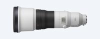 Sony FE 600mm F/4.0 GM - thumbnail