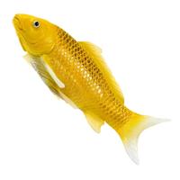 Mojo sealife koi karper - kin matsuba koi - 381105 - thumbnail