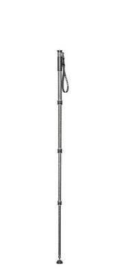 Gitzo GM2542 eXact carbon monopod series 2